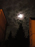IMGP1439.jpg