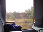 IMGP1459.jpg