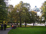 IMGP1474.jpg