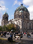 IMGP1479.jpg