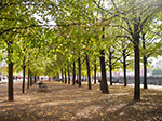 IMGP1488.jpg