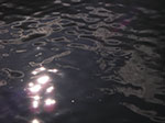 IMGP1491.jpg