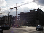 IMGP1498.jpg