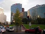 IMGP1536.jpg