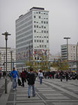 IMGP1611.jpg