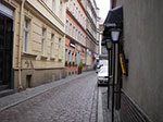 IMGP1626.jpg