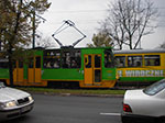IMGP1637.jpg