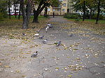 IMGP1638.jpg