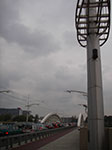 IMGP1651.jpg