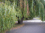 IMGP1680.jpg