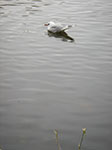 IMGP1682.jpg
