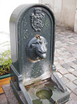 IMGP1731.jpg
