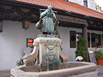 IMGP1733.jpg