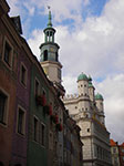 IMGP1743.jpg