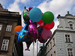 IMGP1751.jpg