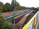 IMGP1775.jpg