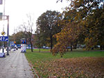 IMGP1779.jpg