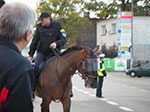 IMGP1781.jpg