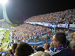 IMGP1825.jpg
