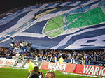 IMGP1830.jpg