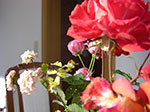 2007-10-11-15-51-02.jpg