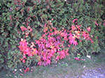 2007-10-14-18-23-32.jpg