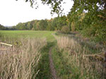 2007-10-14-18-34-31.jpg