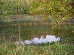 2007-10-14-18-36-58.jpg
