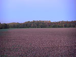 2007-10-14-18-41-22.jpg