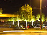 2007-10-16-19-52-12.jpg
