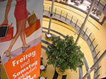 2007-10-22-20-02-39.jpg