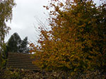 2007-10-23-16-20-06.jpg
