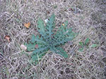 2007-10-23-16-24-34.jpg