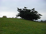 2007-10-23-16-30-44.jpg