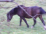 2007-10-26-16-12-48.jpg