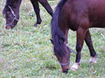 2007-10-26-16-13-16.jpg