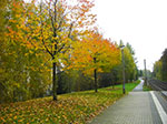 2007-10-26-16-19-52.jpg