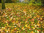 2007-10-26-16-20-10.jpg