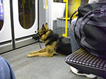 2007-10-27-05-37-24.jpg