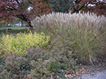 2007-10-27-13-12-59.jpg