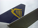 CIMG0821.jpg