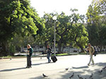 CIMG0842.jpg