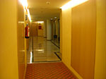 CIMG0854.jpg
