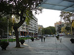 CIMG0858.jpg