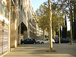 CIMG0862.jpg