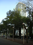 CIMG0866.jpg