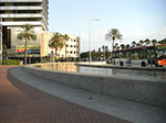 CIMG0867.jpg