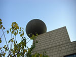 CIMG0902.jpg