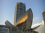 CIMG0907.jpg