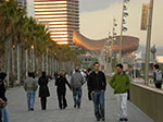 CIMG0927.jpg